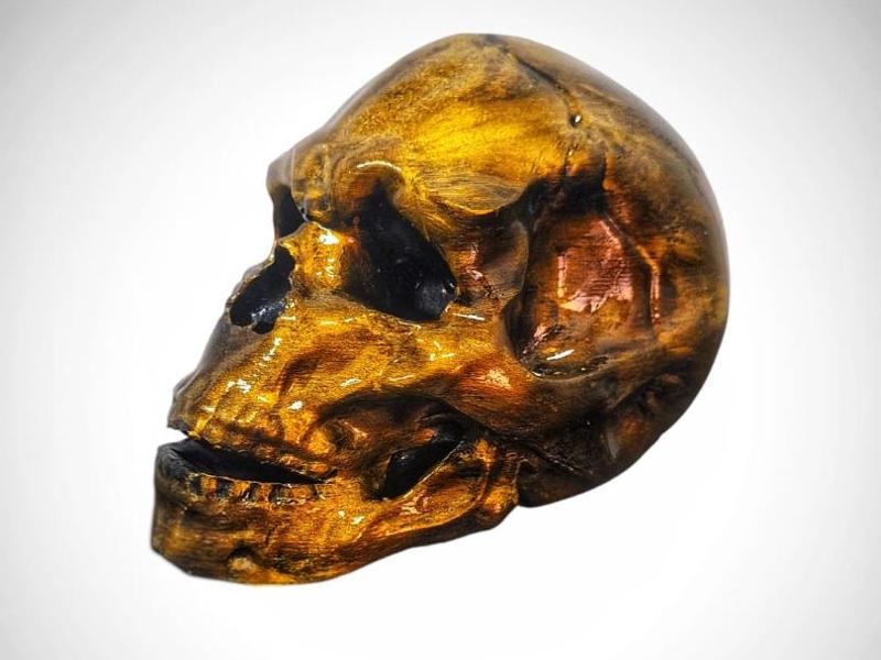 Realistic Skull