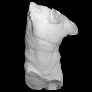 Torso of a Dancing Faun at The Minneapolis Institute of Arts, USA