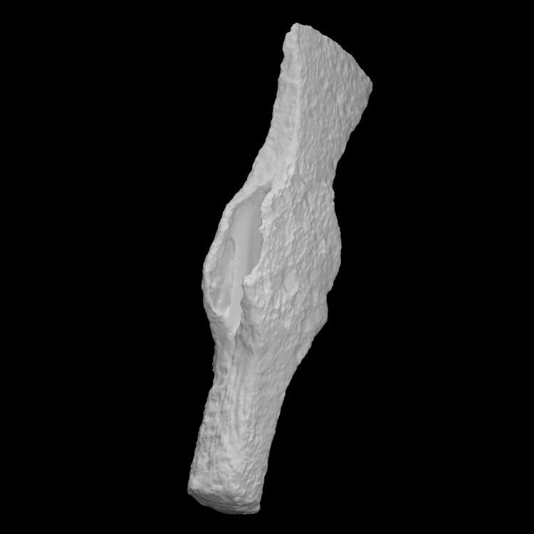 Hammer poll belt axe