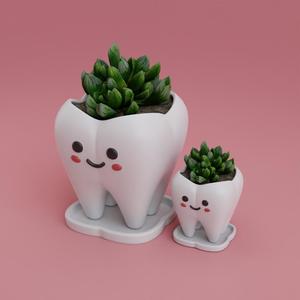Tooth Planter - Tooth Pen holder