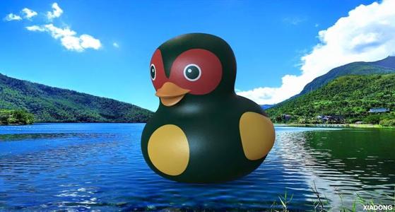 Ginger Duck - Taiwan Style