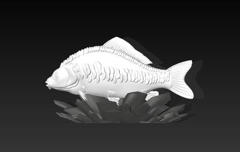 Special to Fishermen The Bust of a Carp - Rapid Print 2.5D