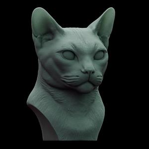 Siamese Cat Bust 02