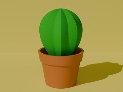 Cactus Potted Plant