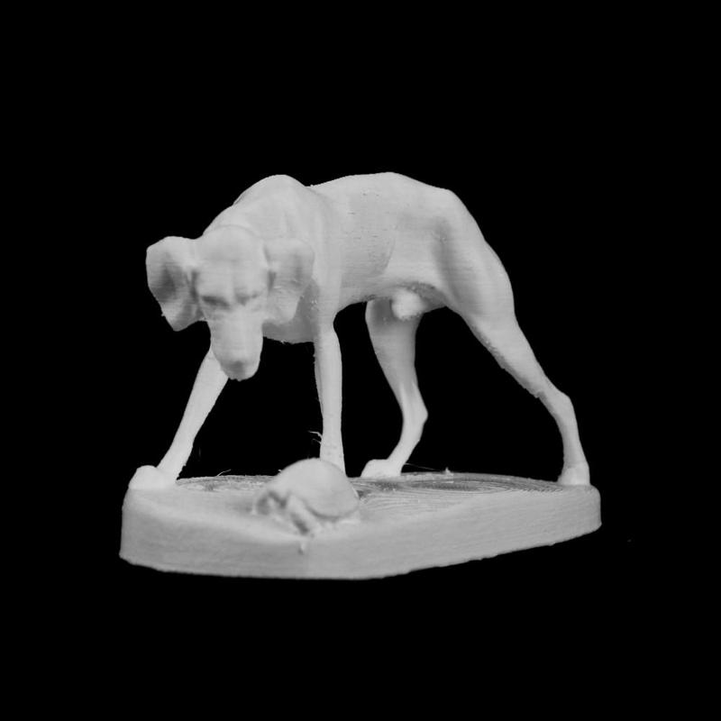 The Surprise at the Palais des Academies, Brussels, Belgium