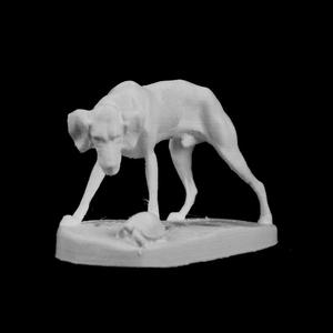 The Surprise at the Palais des Academies, Brussels, Belgium