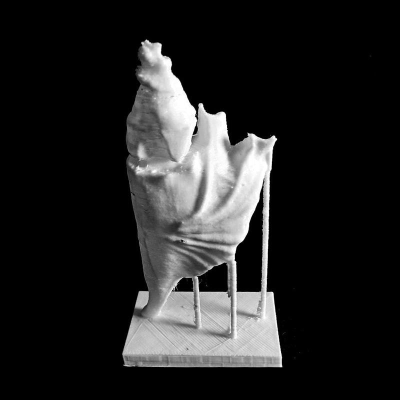 Marble 'Spider-Conch' Shells 2