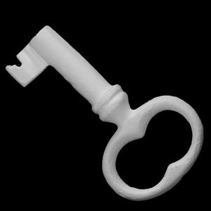 Leg Slave Shackle Key