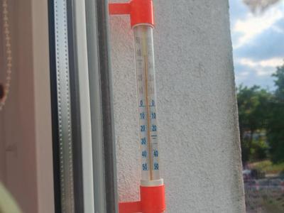 Thermometer holder