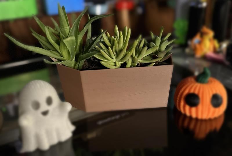 Wooden Coffin Succulent Planter