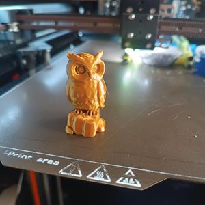Owl