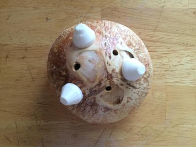 CocoFeet: Upcycle finished coconut shell