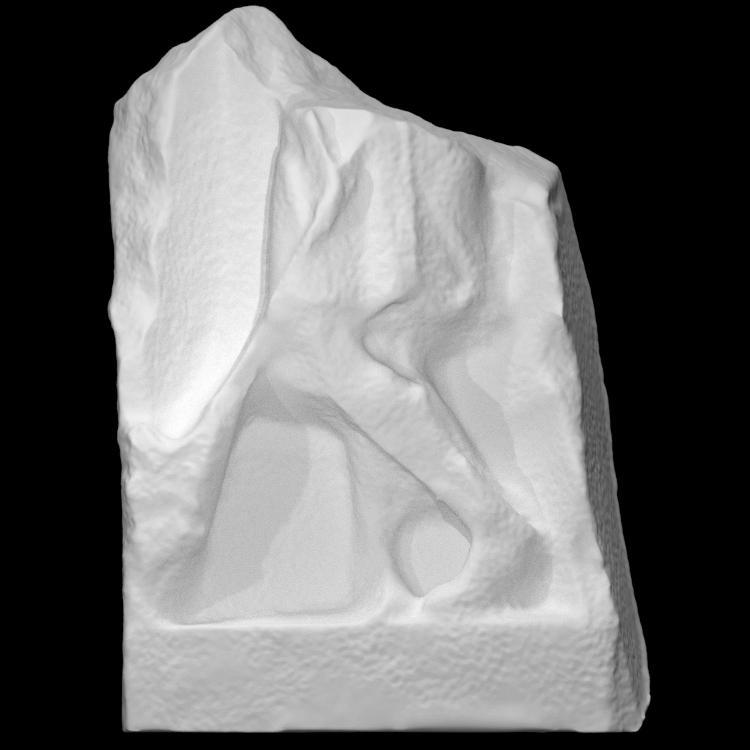 Figure of Cautopates