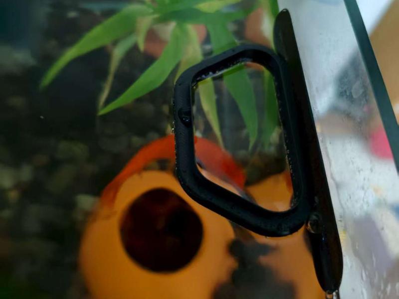 Fish Tank Feeder, Feeding Ring