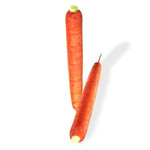 Carrot VEGETABLE FRUIT TREE FOREST Carrot FLOWER PLANT FOOD DRINK JUICE NATURE VEGETABLE FRUIT