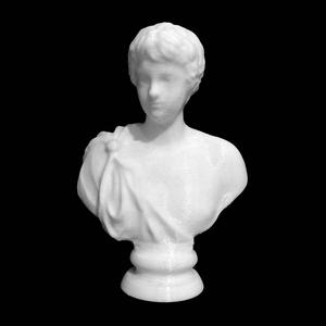 Portrait of a Young Caracalla at The State Hermitage Museum, St Petersburg