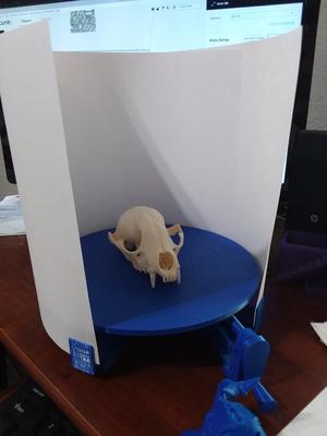 $0.16 Backdrop for $3.47 3D Scanner