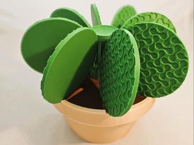 Cactus Coaster