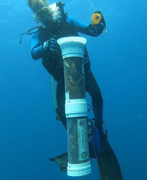 Lion connector