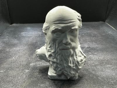 Charles Darwin Bust
