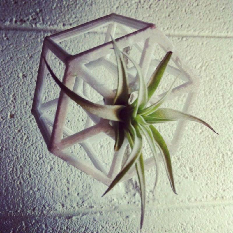 AIR PLANT HOLDERS