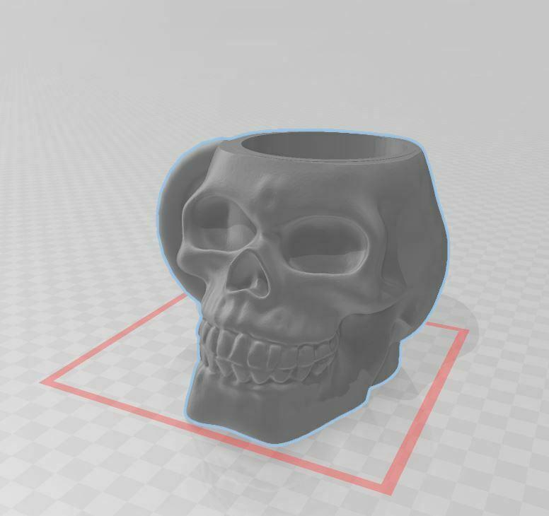 Skull and Hollow Mug
