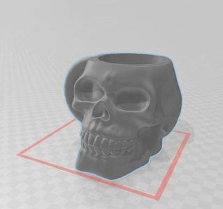 Skull and Hollow Mug