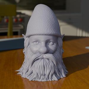 GNOME HEAD SAYS HOLDER