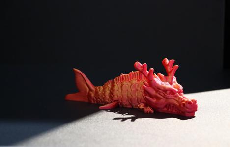 Lucky Dragon Fish/Prosperity Dragon Fish