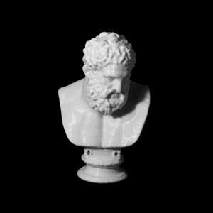 Bust of Hercules