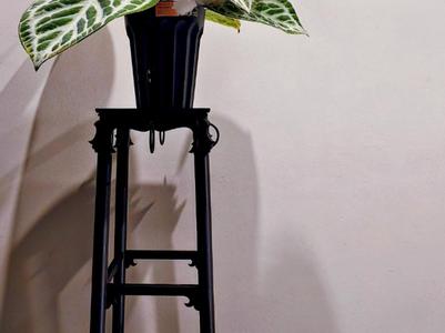 New Chinese Style Figurine Display Stand (Plants)