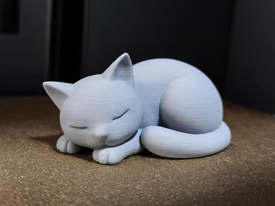 Cute sleeping Cat