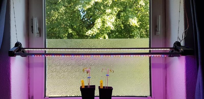 U-Profile LED light stripe(360°rotatable) Lamp (plug&play/no screws) 2-80 inch / U-Profil LED ligh stripe (360° drehbar) Lampe (plug&play ohne Schrauben) 5-200cm