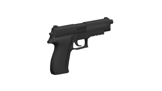 SIG Sauer P226