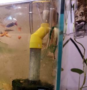 Sponge filter adapter for HOB breeder box