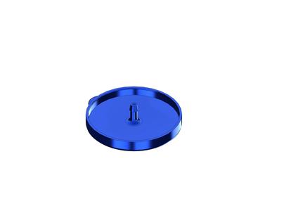 Screen wash bottle cap