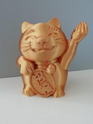 Italian Rude Cat