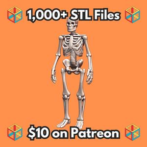 28mm DND Giant Skeleton of the Lost Undead Fantasy Miniature MineeForm FDM 3D Print STL File