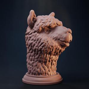 Alpaka Head