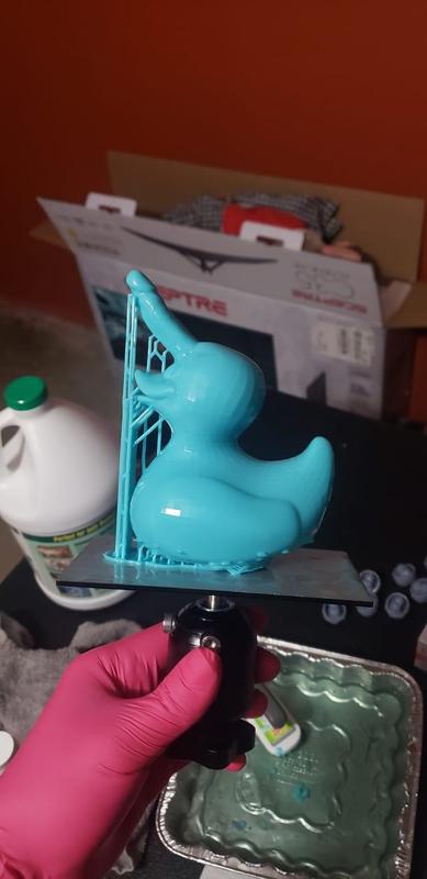 DickDuck