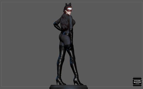 CATWOMAN SELINA KYLE BATMAN DARK NIGHT RISES DC SEXY GIRL WOMAN CHARACTER