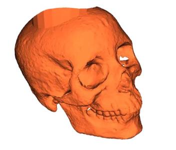 skull pen holder