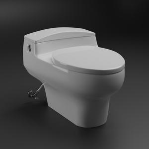 Toto CW825J Toilet