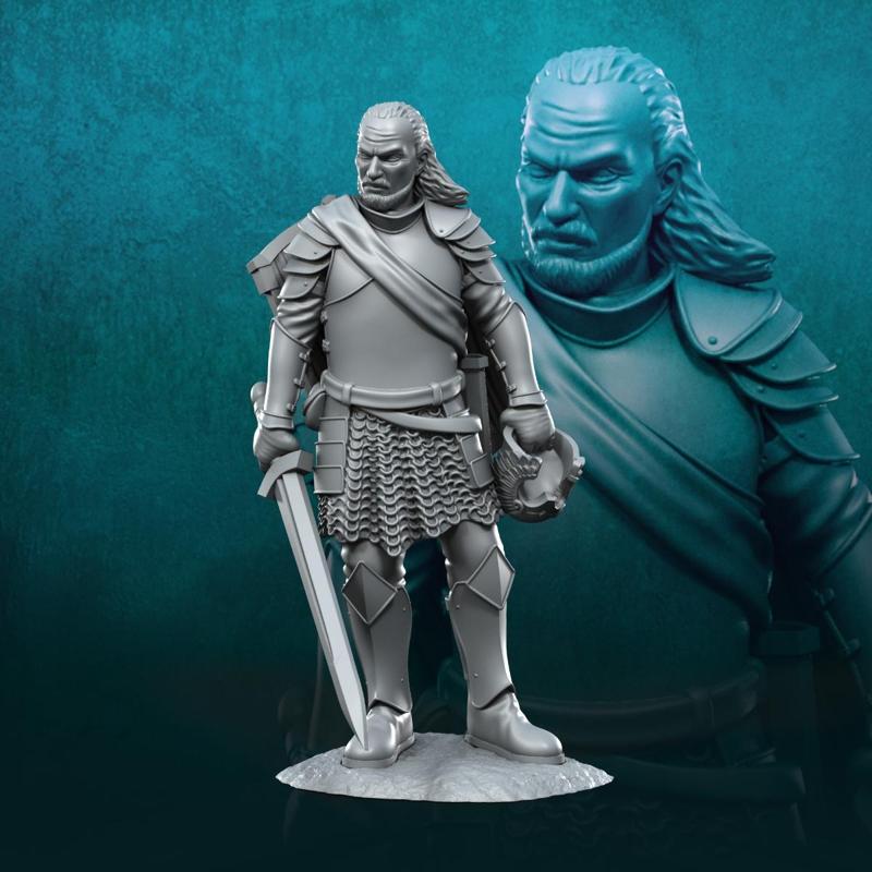 Veteran Grey Castle Captain 1 | Grey Castle | Fantasy