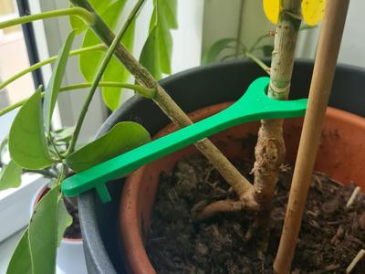 Plant holder/plant support/plant stake
