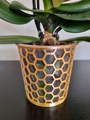 Orchid Basket for plastic pot