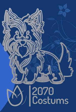 Elegant Yorkshire Terrier