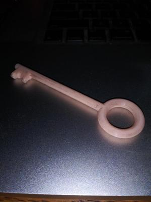 simple skeleton key