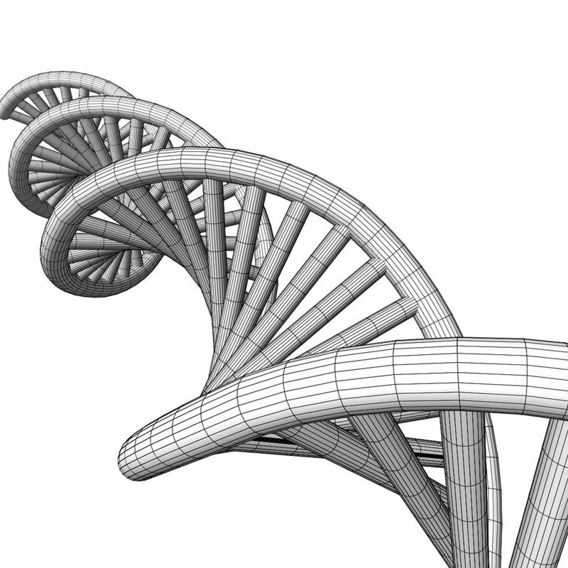 Molecular model of DNA
