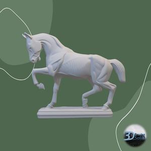 Horse Decor